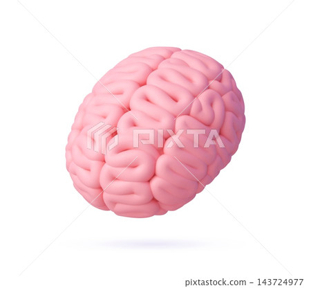 Realistic 3d human brain, isolated pink anatomical brain with soft smooth surface. Medical neuroscience icon showing thinking, cognition, intelligence, psychology, memory, idea and mental processes Realistic 3d human brain, isolated pink anatomical brain with soft smooth surface. Medical neuroscience icon showing thinking, cognition, intelligence, psychology, memory, idea and mental processes 143724977
