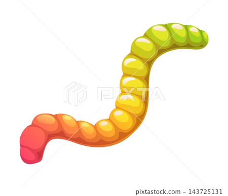 Cartoon Halloween Jelly worm holiday sweets and dessert. Isolated vector colorful gummy candy. Trick or treat fruity marmalade confectionery for children, funny earthworm or snake kids party pastry Cartoon Halloween Jelly worm holiday sweets and dessert. Isolated vector colorful gummy candy. Trick or treat fruity marmalade confectionery for children, funny earthworm or snake kids party pastry 143725131