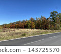 Autumn forest trees by roadside meadow under blue sky 143725570