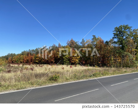 Autumn forest trees by roadside meadow under blue sky Autumn forest trees by roadside meadow under blue sky 143725570