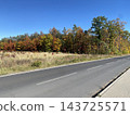 Autumn forest road with colorful trees and blue sky 143725571