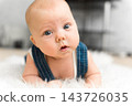 Baby 5-6 months old in blue overalls lies on tummy on a white blanket and looks at camera in a close home portrait 143726035