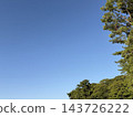 Blue sky, lush green trees, and white clouds 143726222
