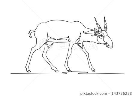 Continuous one line drawing endangered wild saiga antelope striding across grassland terrain, distinctive bulbous nasal cavity, ringed upright horn. Single line draw design vector graphic illustration Continuous one line drawing endangered wild saiga antelope striding across grassland terrain, distinctive bulbous nasal cavity, ringed upright horn. Single line draw design vector graphic illustration 143726258