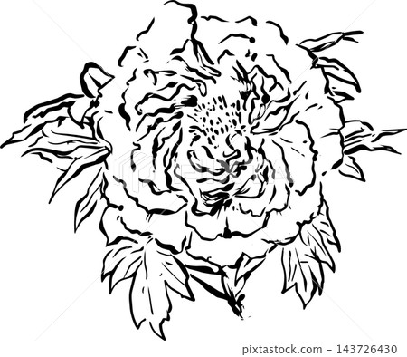 水墨畫風格的牡丹花插圖 水墨畫風格的牡丹花插圖 143726430
