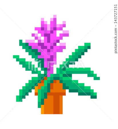 Bromeliad In Pot Pixel Art Bromeliad In Pot Pixel Art 143727151