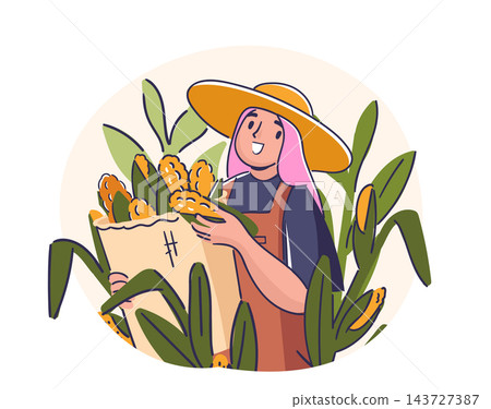 Farmer Harvesting Corn Cartoon 143727387