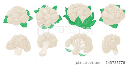 Cauliflower Heads And Cuts Set Cartoon 143727776