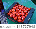 Delicious red tomatoes in Summer tray market agriculture farm full of organic. Fresh tomatoes, It can be used 143727948