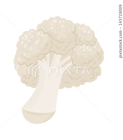 Cauliflower Head Organic Produce Cartoon Cauliflower Head Organic Produce Cartoon 143728009