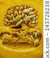 Close-Up of Fresh Pumpkin Seeds and Flesh Inside Orange Squash for Autumn Harvest and Cooking 143728238