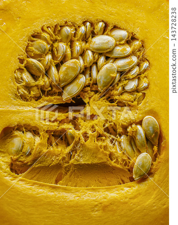 Close-Up of Fresh Pumpkin Seeds and Flesh Inside Orange Squash for Autumn Harvest and Cooking 143728238
