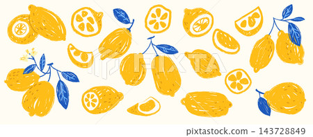 Lemon Pattern With Slices Hand Drawn 143728849