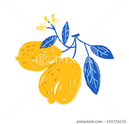 Lemon Branch With Leaves Crayon Style 143729210