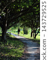 Trail 143729525