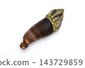 Capitulum mitella 143729859