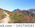 從白馬五龍的富尾嶺健行步道上可以欣賞到山景。 143730583