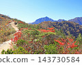 從白馬五龍的富尾嶺健行步道上可以欣賞到山景。 143730584