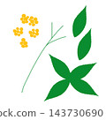 Hand-painted yellow berries (Ardisia crenata): berry, stem, and leaf parts set. 143730690