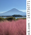 富士山與穆倫伯格花 143730771