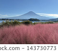 富士山與穆倫伯格花 143730773