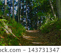 The hiking trails of Jinba Mountain, enveloped in fresh greenery; sunlight filtering through the trees. 143731347
