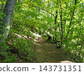 The hiking trails of Jinba Mountain, enveloped in fresh greenery; sunlight filtering through the trees. 143731351