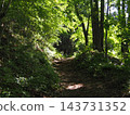 The hiking trails of Jinba Mountain, enveloped in fresh greenery; sunlight filtering through the trees. 143731352