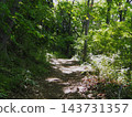 The hiking trails of Jinba Mountain, enveloped in fresh greenery; sunlight filtering through the trees. 143731357