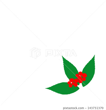 Hand-painted Ardisia crenata corner decoration with red berries and leaves 143731370