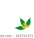 Hand-painted yellow berries and leaves of Ardisia crenata (a type of plant) - a corner decoration. 143731371