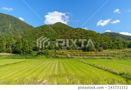 一幅寧靜祥和的鄉村景色展現在眼前,鬱鬱蔥蔥的田野綿延不絕,遠處是青翠欲滴的山脈。 一幅寧靜祥和的鄉村景色展現在眼前,鬱鬱蔥蔥的田野綿延不絕,遠處是青翠欲滴的山脈。 143731552