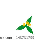 Hand-painted yellow berries and leaves corner decoration of Ardisia crenata (Japanese angelica tree) with three leaves. 143731755