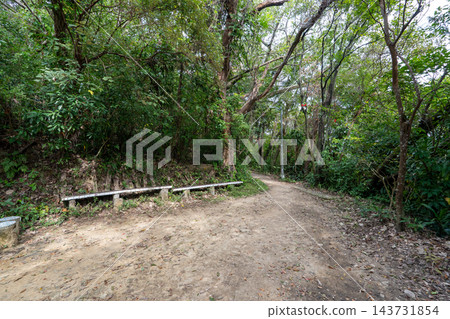 陽明山國家公園七星山健行步道上的階梯與蔚藍的天空 143731854