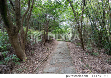 台北大步道第五段的風景 台北大步道第五段的風景 143731965
