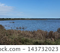 Autumn scenery of Lake Inbanuma with its clear blue sky and tranquil waters. 143732023