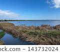 Autumn scenery of Lake Inbanuma with its clear blue sky and tranquil waters. 143732024