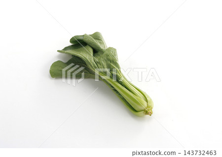 新鮮小白菜 143732463