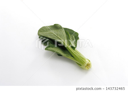 新鮮小白菜 新鮮小白菜 143732465