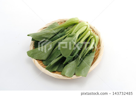 新鮮小白菜 新鮮小白菜 143732485