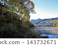 Lotus pond 143732671
