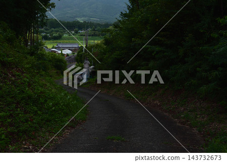 一條綠樹環繞的山路通往山脈環繞的村莊，展現了典型的日本風景。 143732673