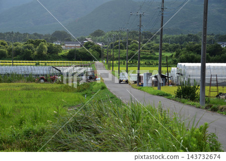山脈環繞的鄉村景色,溫室和蜿蜒穿過田野的農場道路。 山脈環繞的鄉村景色,溫室和蜿蜒穿過田野的農場道路。 143732674