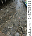 low tide behind a village house or village on the waterlow tide behind a village house or village on the water 143733411