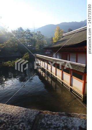 位於廣島縣宮島市的世界遺產嚴島神社（幸神社和鏡之池）景色優美，秋季賞楓時節遊客絡繹不絕。 143733580