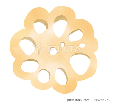 Flower-shaped lotus root, an ingredient for Osechi (Japanese New Year's food), simple hand-drawn watercolor style illustration. Flower-shaped lotus root, an ingredient for Osechi (Japanese New Year's food), simple hand-drawn watercolor style illustration. 143734239