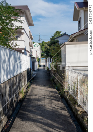 典型的日本住宅街道景象：一條狹窄的石板路，兩側是白色的柵欄和房屋的外牆，電線桿、植物和樹蔭籠罩著道路。 143734775