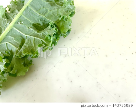 羽衣甘藍葉和露珠 143735089