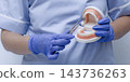 Dental surgery training with extraction forceps gripping an upper molar on an anatomical teeth model 143736263