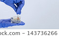 Dental implant demonstration with a screwdriver on a transparent jaw model and generous copy space 143736266